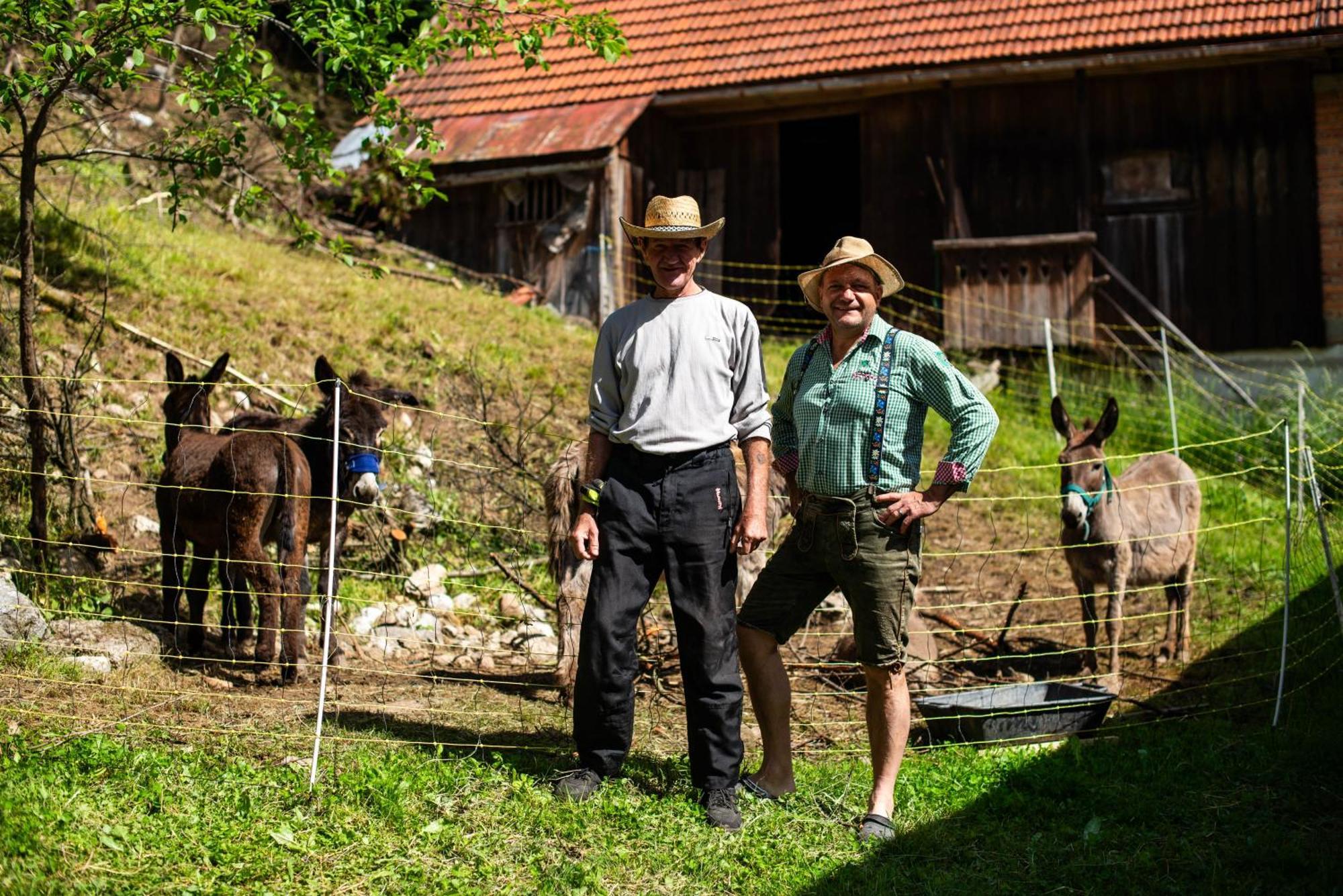 Turisticna Kmetija Grabnar Villa Bled Dış mekan fotoğraf
